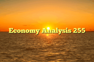 Economy Analysis 255