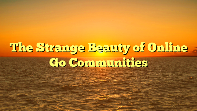 The Strange Beauty of Online Go Communities